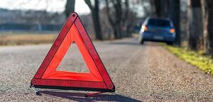 Incidenti da collisione con selvaggina – spesso i segnali di pericolo vengono ignorati!