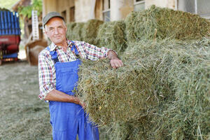 L'assicurazione agricola - i punti fondamentali.