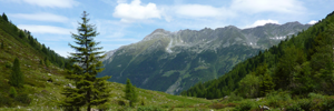 La mutualità